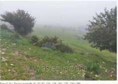 Foto IMMOBILI-IMMOBILE RESIDENZIALE-C.da scardacucco s.n.