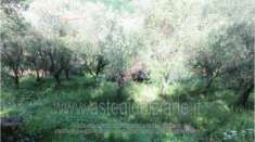 Foto IMMOBILI-IMMOBILE RESIDENZIALE-Localit  speri, via di speri 14