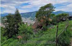 Foto IMMOBILI-IMMOBILE RESIDENZIALE-Via bartolomeo bianco, 8