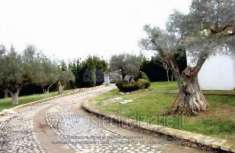 Foto IMMOBILI-IMMOBILE RESIDENZIALE-Via benedetto profeta, 4