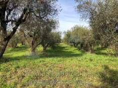 Foto IMMOBILI-IMMOBILE RESIDENZIALE-Via fontana san pietro