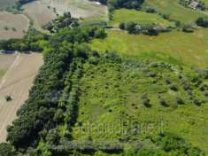 Foto IMMOBILI-IMMOBILE RESIDENZIALE-Via montemarciano n.51