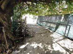 Foto Indipendente in vendita a Jesi