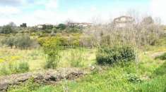 Foto Industriale in vendita a Mascalucia