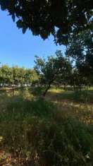 Foto Industriale in vendita a Melito di Porto Salvo