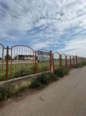 Foto Industriale in vendita a Sannicandro di Bari