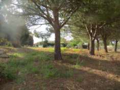 Foto Industriale in vendita a Siracusa