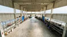 Foto Industriale/Artigianale in vendita a Modugno