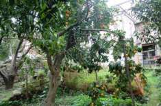 Foto Ittiri vendesi casa indipendente 5 vani 100 Mq