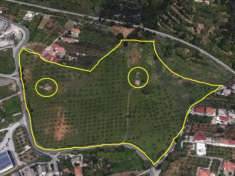 Foto Lamezia Terme vendesi terreno agricolo 73500 Mq