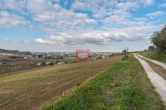Foto LONGIANO - primissime colline cesenati = Terreno Agricolo di 46.000 mq coltivato in parte a seminativo ed in parte ad ulivi (200 piante circa gi  in p
