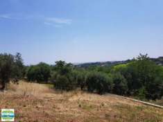 Foto LOTTI DI TERRENO EDIFICABILI PANORAMICI