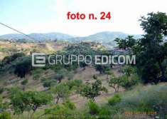 Foto Lotto edificabile di 10.26 mq  in vendita a Castiglione Cosentino - Rif. 4511940