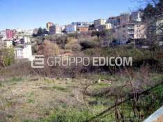 Foto Lotto edificabile di 2510 mq  in vendita a Rogliano - Rif. 4513142