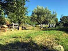 Foto Lotto edificabile di 2788 mq  in vendita a Rende - Rif. 4518767