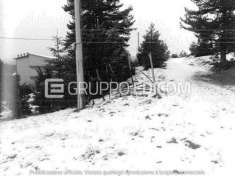 Foto Lotto edificabile di 4000 mq  in vendita a San Giovanni in Fiore - Rif. 4538866