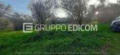 Foto Lotto edificabile in vendita a Acquasparta - Rif. 4521223