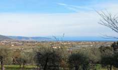 Foto Lusignano, vendesi rudere con terreno di circa 26.000 mq.