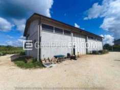 Foto Magazzini e locali di deposito di 268 mq  in vendita a Meldola - Rif. 4522601