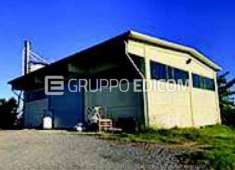 Foto Magazzini e locali di deposito di 285 mq  in vendita a Quattordio - Rif. 4502268
