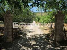 Foto Magazzini e locali di deposito di 850 mq  in vendita a Corleone - Rif. 4519507