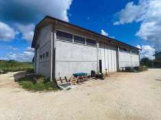 Foto Magazzino in Vendita, 1 Locale, 449 mq, Meldola