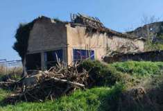 Foto Magazzino in Vendita, 1 Locale, 890 mq, San Prospero