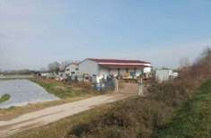 Foto Magazzino in Vendita, 3 Locali, 1406 mq, Albignasego
