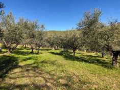 Foto Magione vendesi terreno agricolo 9500 Mq