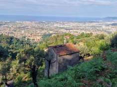 Foto MASSA, prima collina, fabbricato da ristrutturare con una meravigliosa vista MARE-MONTI, circondato da un'ampia corte con numerosi ulivi di circa 1.20