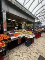 Foto Montagnola - Viale Pico della Mirandola