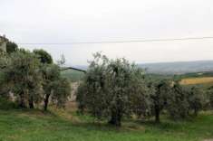 Foto Montecchio - Vendesi terreno agricolo con annesso da recuperare per uso abitativo in una frazione del comune di Montecchio