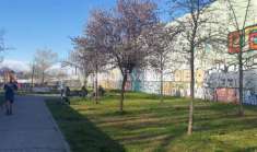 Foto MONUMENTALE/NUOVO SCALO FARINI ATTICO