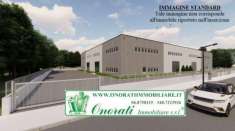 Foto MQ 61.790 CASTEL MADAMA (RM) ZONA INDUSTRIALE, Rif. TP-109