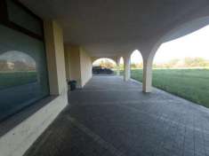 Foto Negozio - Cona . Rif.: C0711VCG