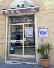 Foto Negozio - Sassari . Rif.: Cod. rif 3254743VCG