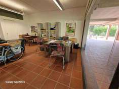 Foto Negozio in Vendita, 2 Locali, 40 mq, Forte dei Marmi (Vittoria A