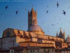 Foto Negozio in vendita a Siena 155 mq  Rif: 1357644