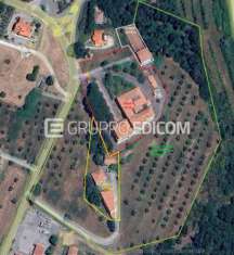 Foto Opifici in vendita a Montegabbione - Rif. 3535048