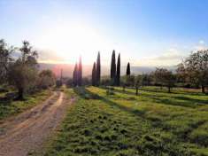 Foto Orvieto - Propriet  in vendita con vista panoramica su Orvieto circondata da 7 ha di terreno - CON  VISITA VIRTUALE DELLA PROPRIET