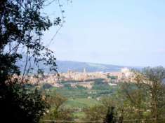 Foto Orvieto  - Vendesi porzione di casale da ristrutturare con 2 ha di terra in posizione panoramica sulla Rupe di Orvieto.