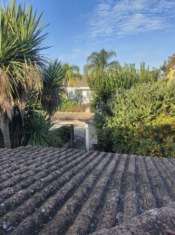 Foto Ostia antica saline privato cerca