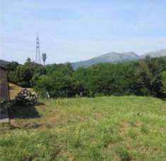 Foto Pascolo in vendita a Genova