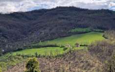 Foto PODERE CON FABBRICATI