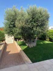 Foto Polignano-Neapolis villa 3 vani occupata ottima rendita