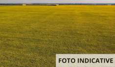 Foto Porzione di casa in Vendita a Calcinato