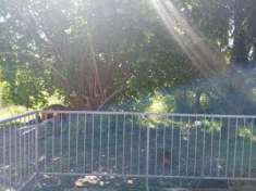 Foto Porzione di casa in vendita a Monti - Licciana Nardi 80 mq  Rif: 986206