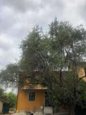 Foto Porzione di casa in vendita a Sarzana 110 mq  Rif: 1284949