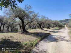 Foto Porzione Villa in Vendita, 3 Locali, 100 mq, Bevagna