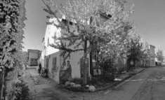 Foto Porzione Villa in Vendita, 4 Locali, 123 mq, Asigliano Veneto